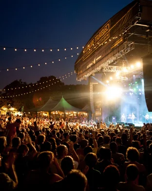 Night Trip Festival