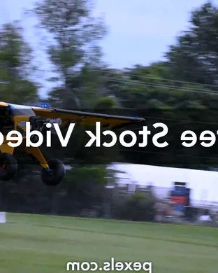 Airplane! - Show Phoenix