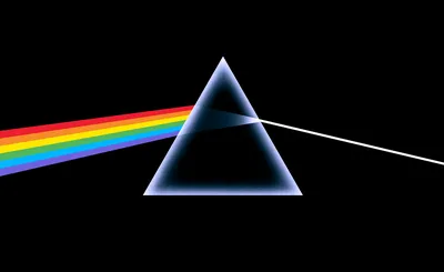 Black Jacket Symphony