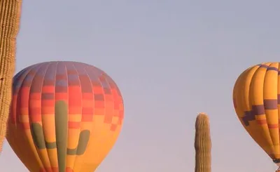 Chandler Chamber Ostrich Festival