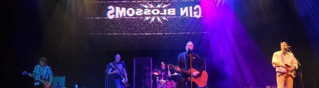 Gin Blossoms