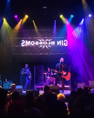 Gin Blossoms Phoenix