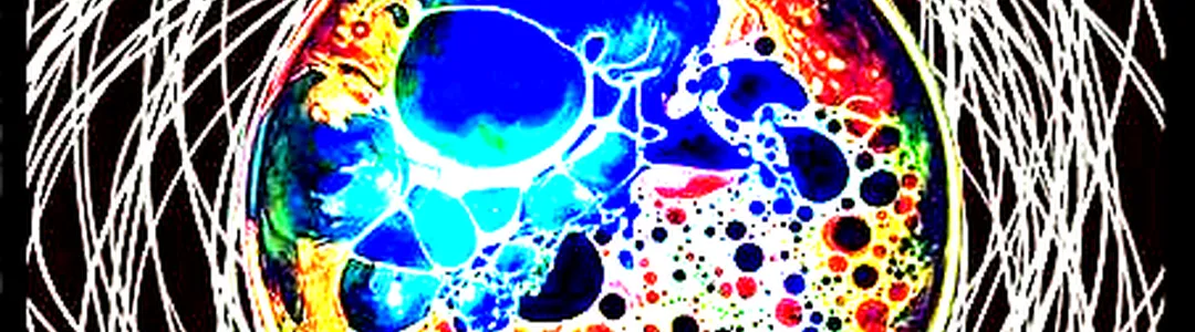 LSD and the Search for God