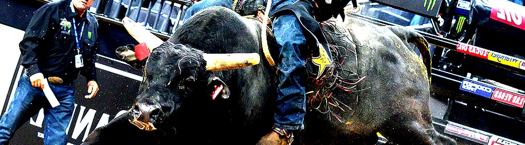 PBR World Finals