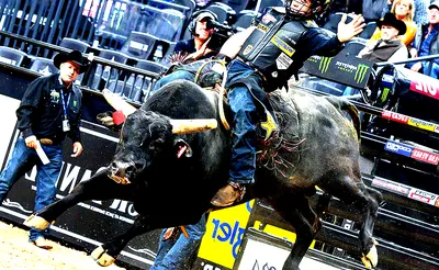 PBR World Finals