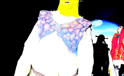 Shrek Jr. The Musical