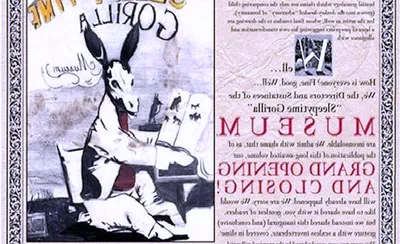 Sleepytime Gorilla Museum