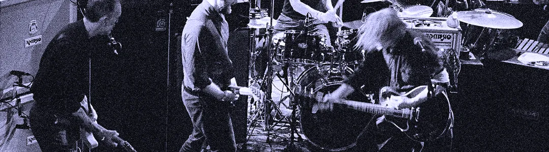 Swans