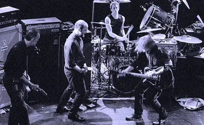 Swans