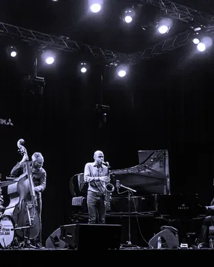 The Bad Plus
