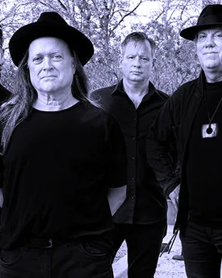 Violent Femmes Chandler