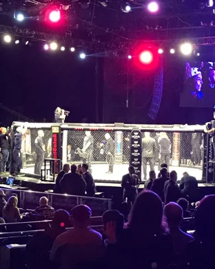 Noche UFC
